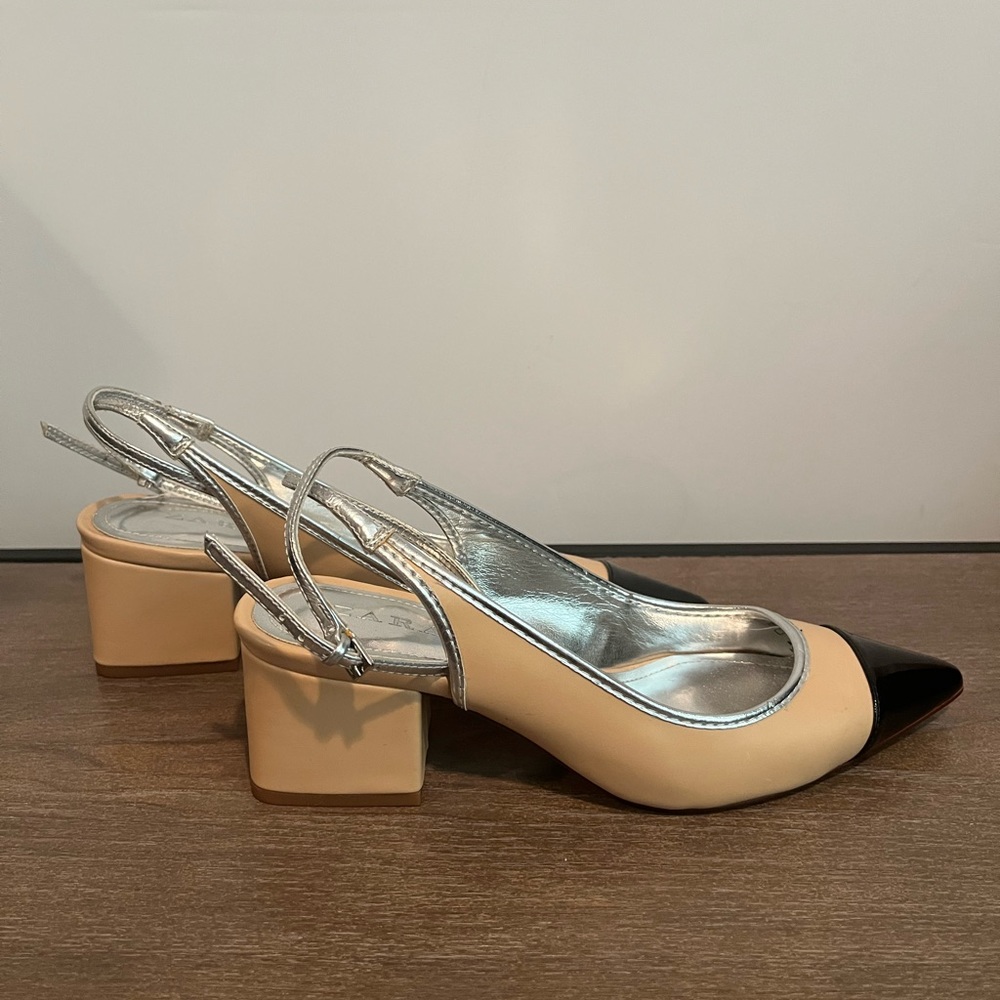 Zara Pointed Heel